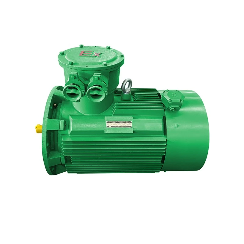 class 1 motor